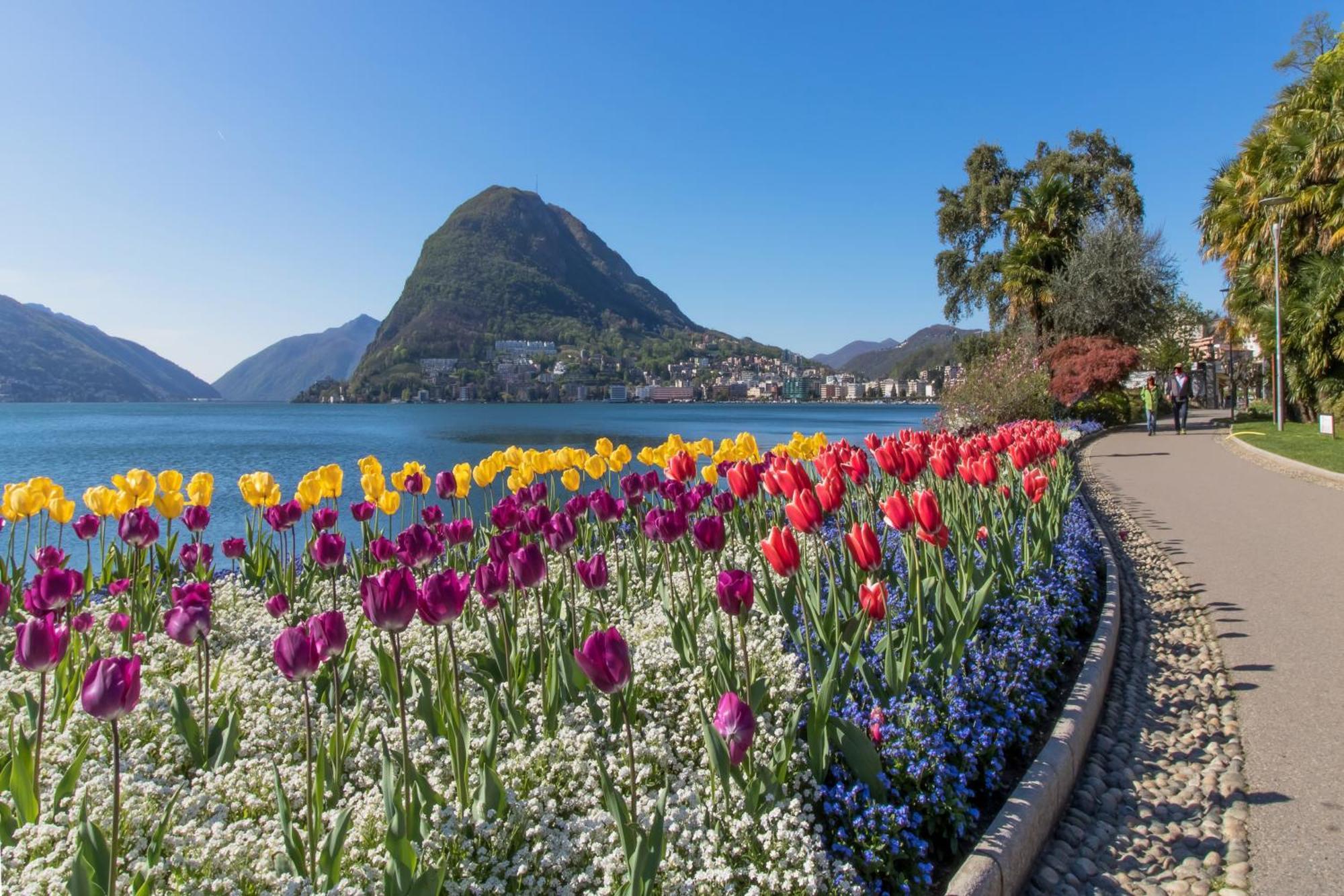 Love Of Lugano - Happy Rentals Екстер'єр фото